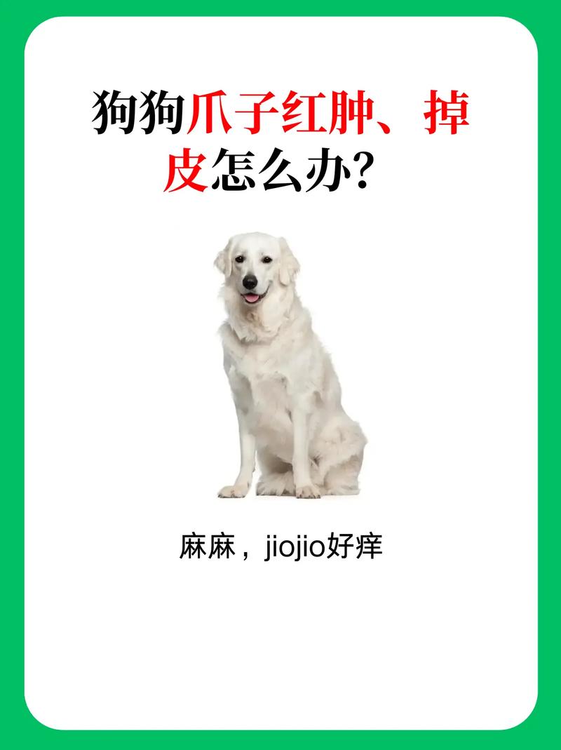 狗狗爪子发红怎么回事