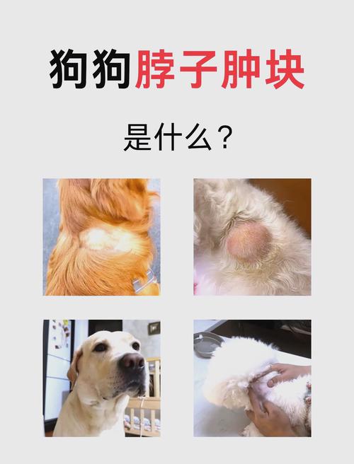 狗狗脖子里面有个肉球怎么处理