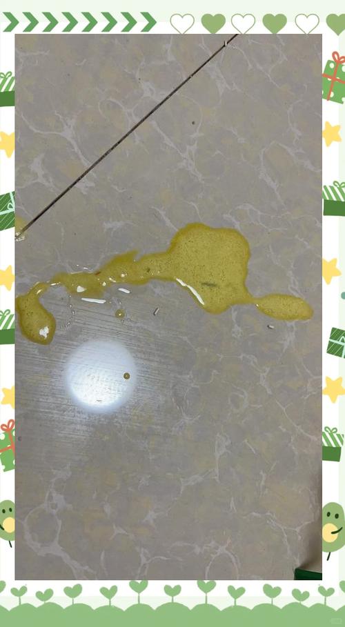 猫吐黄水有泡沫不拉稀