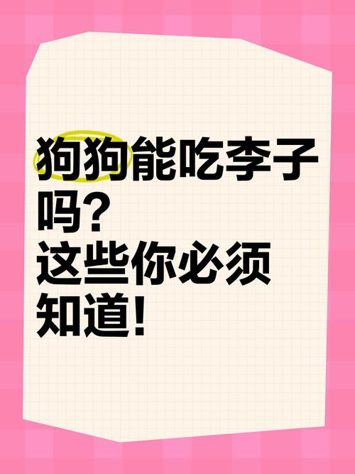 狗狗为什么不能吃李子