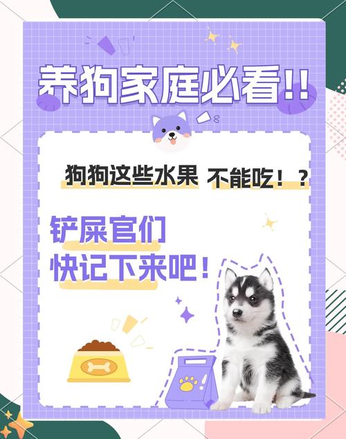 李子狗狗能吃么