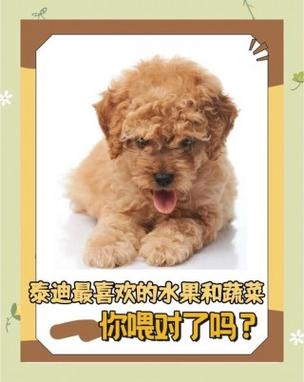 狗能吃哈密瓜吗