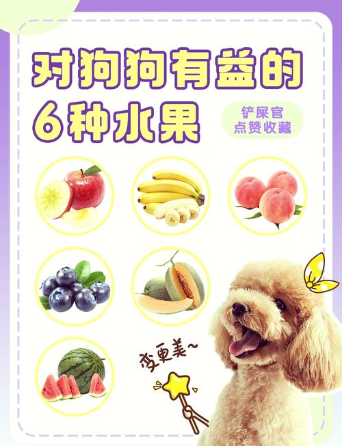 适合狗狗吃的6种水果!