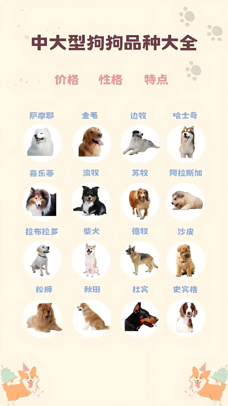 大头狗狗有哪些品种