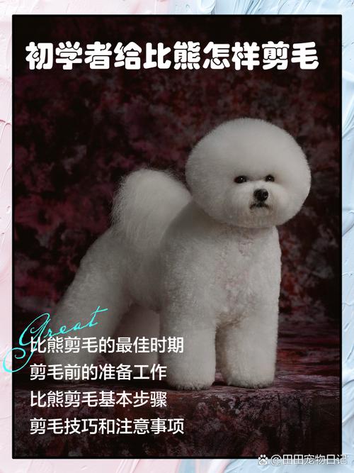 怎么给狗狗剪指甲