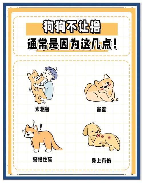 狗狗这6个部位,喜欢被主人摸!