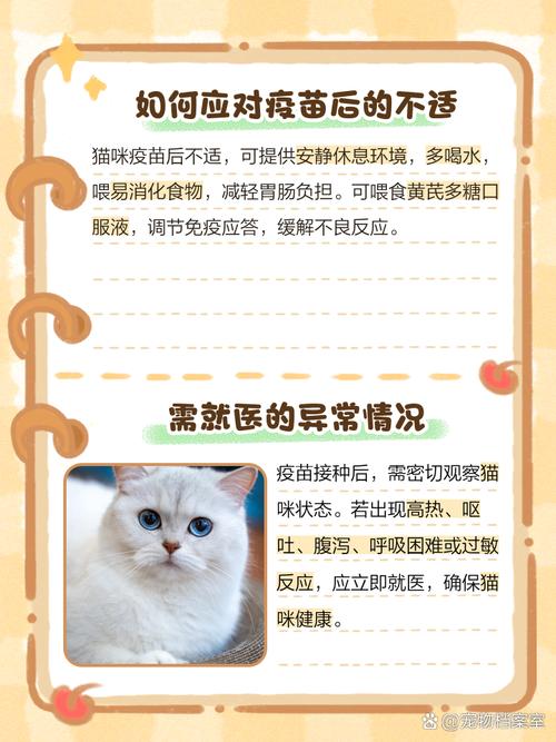 猫咪打完疫苗精神不好,不怎么吃东西