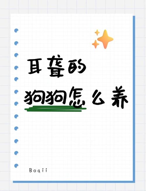 狗狗耳朵震聋了,以后会好吗?