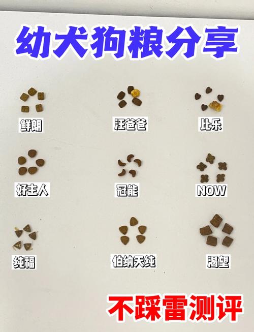 狗可以吃打豆浆豆渣吗