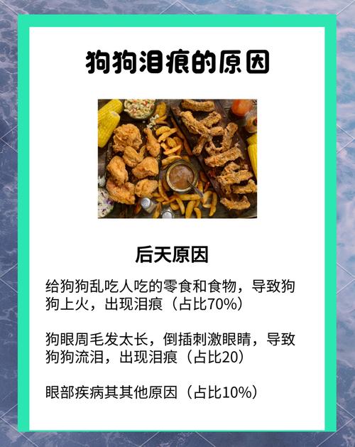 狗狗泪痕严重怎么办