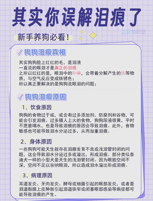 狗狗的泪痕怎么去除呢?