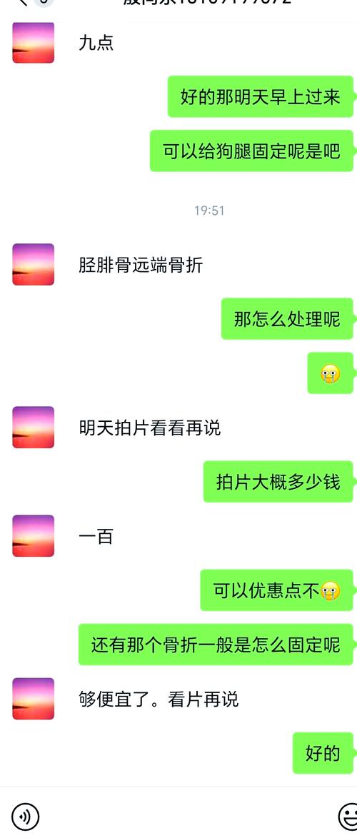泰迪拍片子一般多少钱