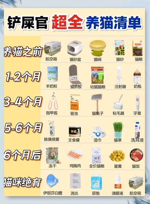 养猫需要准备什么