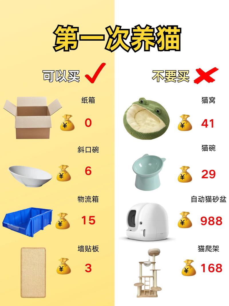 首次养猫需要准备什么呢?