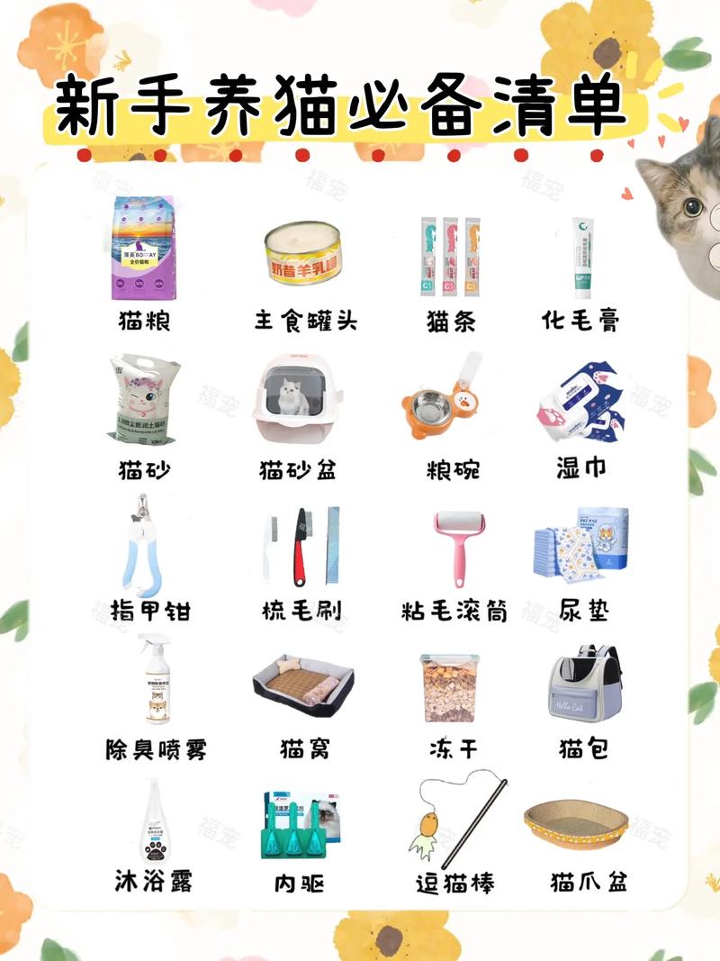 养猫该做什么准备