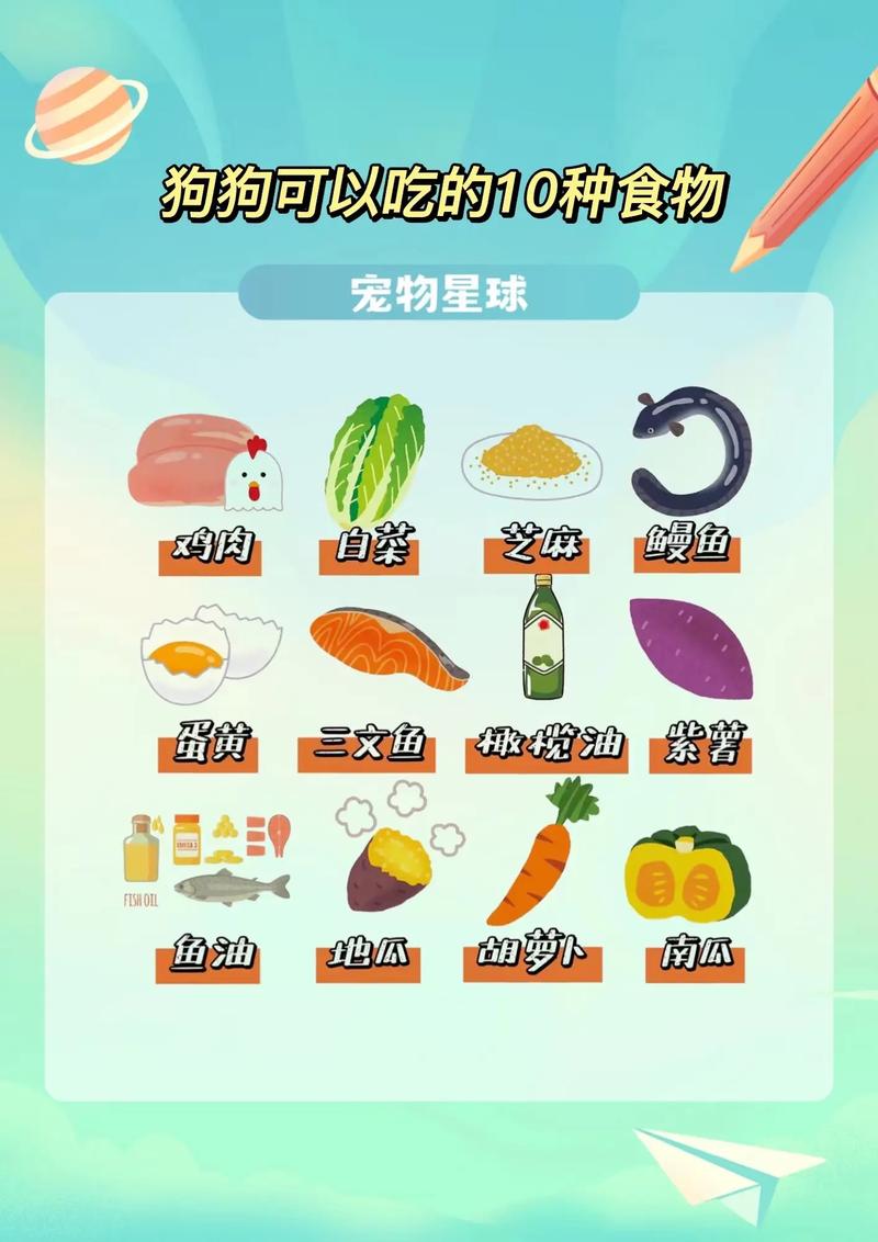 这10种食物,是狗狗的最爱!