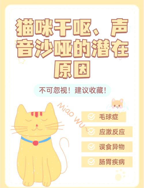 猫咪嗓子哑了,怎么办?