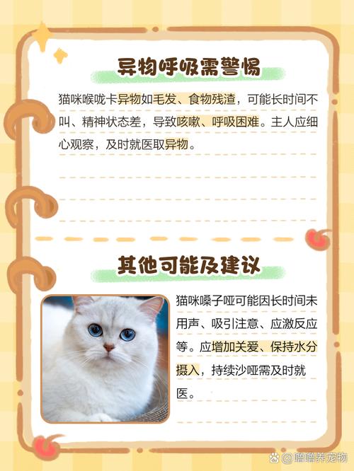 猫咪嗓子哑了叫不出声