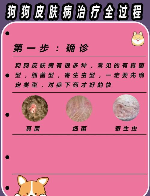 狗狗皮肤病怎么治疗比较好