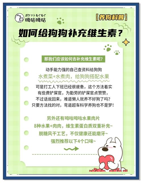 狗狗能吃复合维生素b吗