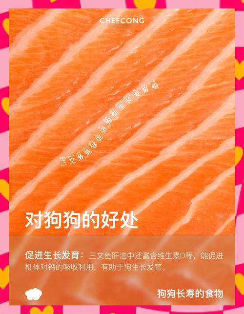 狗狗吃三文鱼的好处和坏处