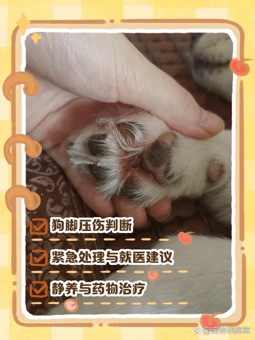 昨天小狗的脚丫子被车碾压伤了,流好多血,小狗的脚丫子皮掉了,用什么...