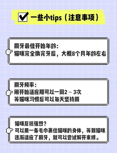 如何让猫咪乖乖的刷牙