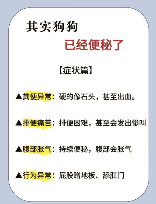 狗狗拉不出来屎,该怎么办