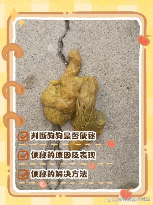 狗狗便便拉不出来怎么办