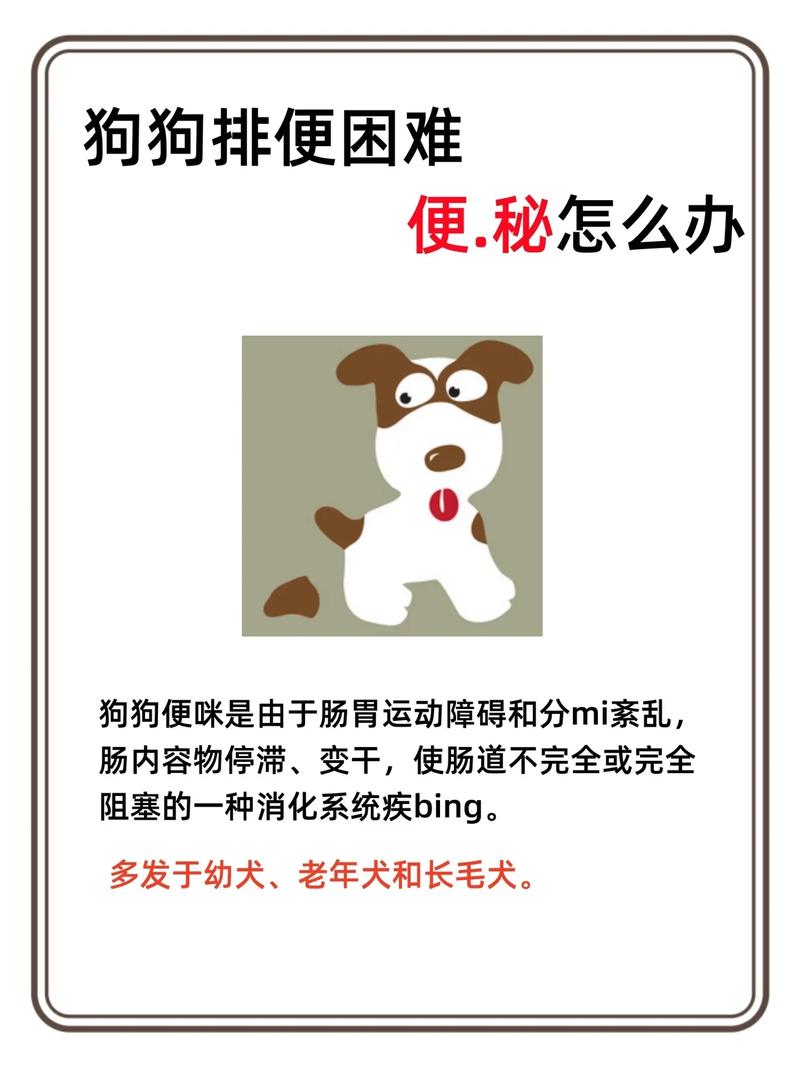 狗狗拉不出屎怎么办