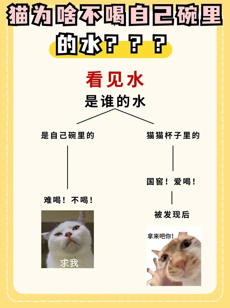 猫频繁去厕所只尿一点,一直叫,猫咪尿频而且每次只尿一点
