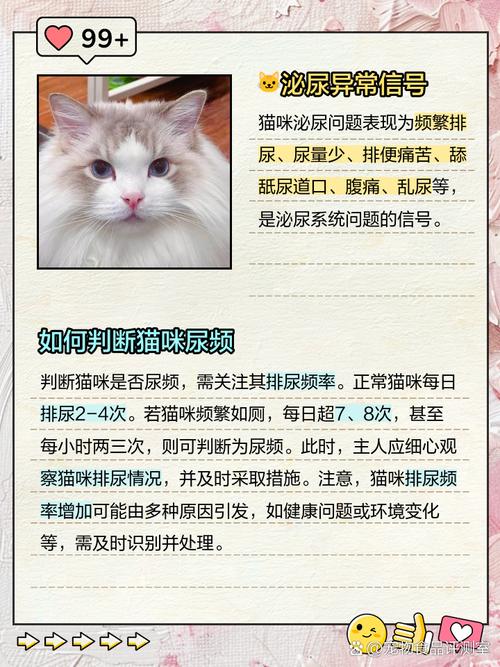 我家猫咪一岁了,这几天老是平凡上厕所怎么回事啊