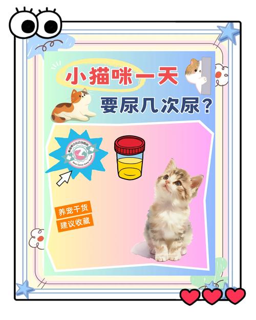 猫咪频繁上厕所一次尿一点咋回事