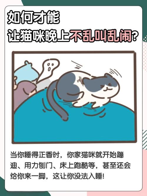 怎样能教会猫咪晚上不要闹腾?