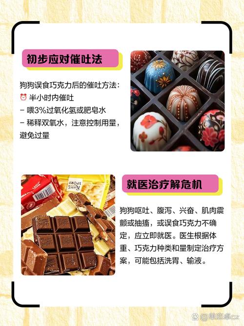 狗狗误食含有可可粉的饼干怎么办?