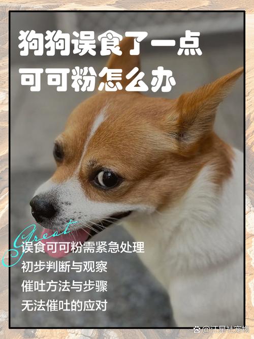 狗狗食用纯可可粉的巧克力食品会死吗?