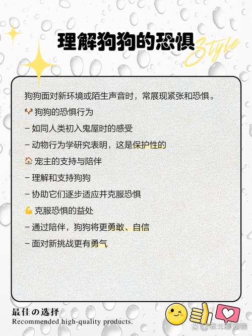 狗狗的胆子太小了总怕人应该怎么办呢?