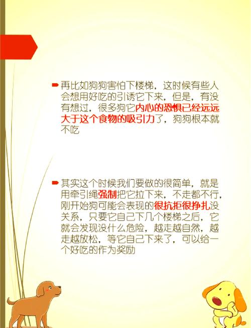 狗狗胆小怎么办,如何让狗狗自信不害怕?