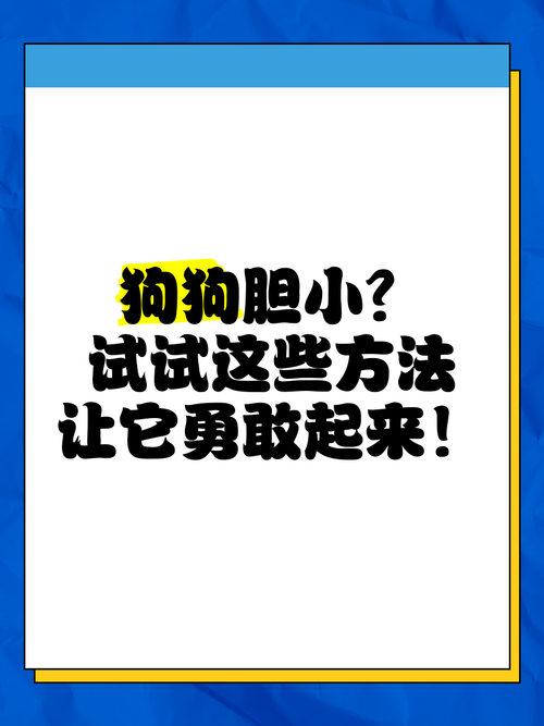 狗狗过于胆小,特别怕人,给肉都不敢吃,怎么办?
