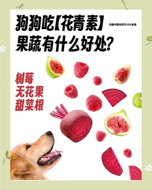 狗狗可以吃树莓吗