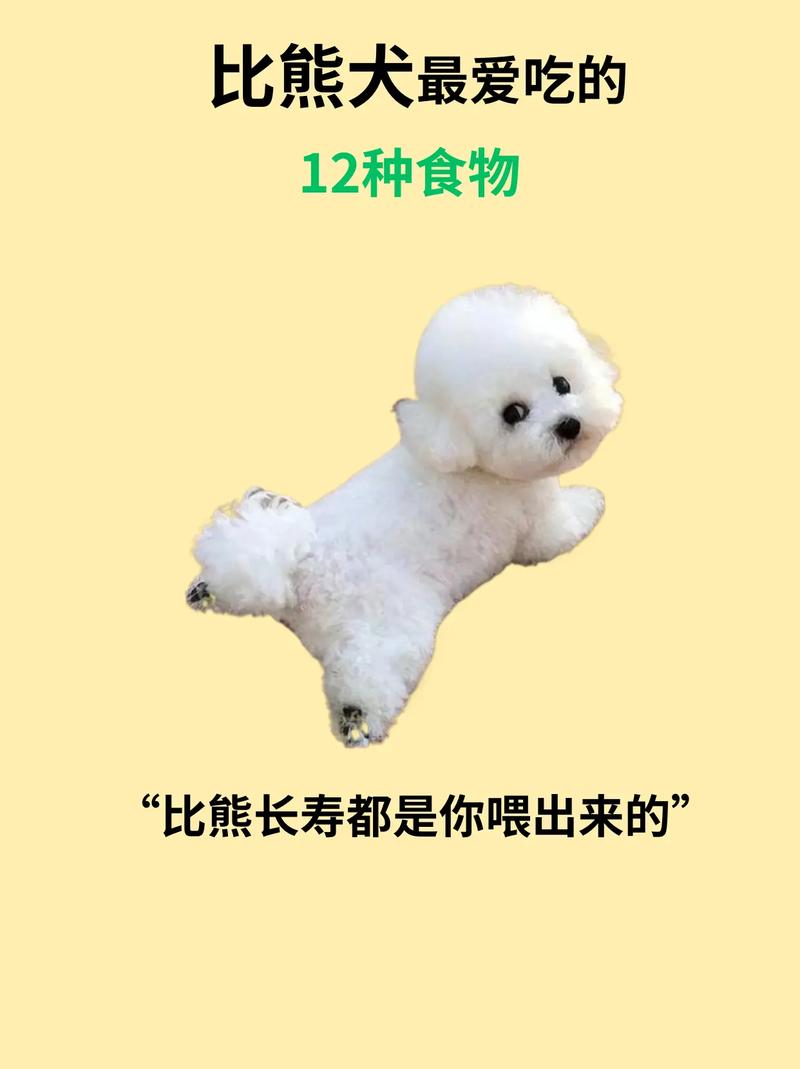 狗可以吃什么水果