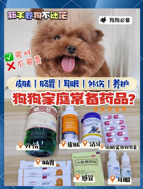 狗狗便秘怎么办吃什么药管用