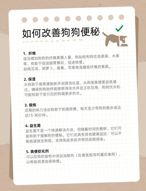 土松犬上火导致便秘,该怎么帮助它?