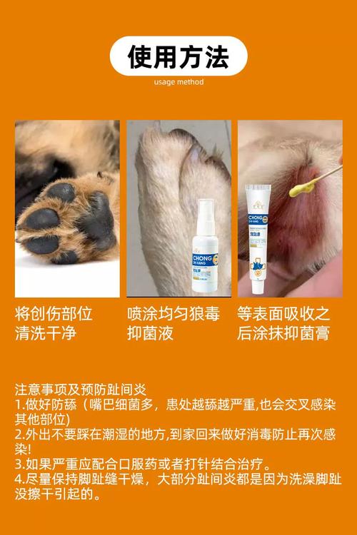 狗狗伤口为什么必须缝针