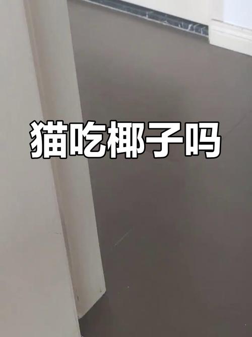 猫咪能吃&不能吃的食物速查表