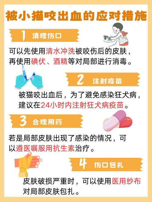 被猫咪咬伤后需要如何处理伤口?