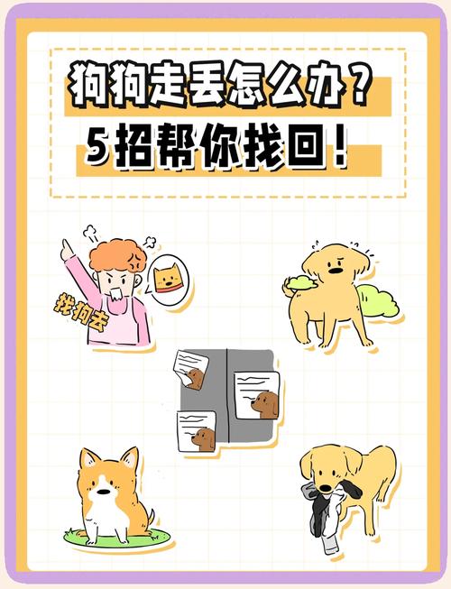 狗狗掉了怎么找回来