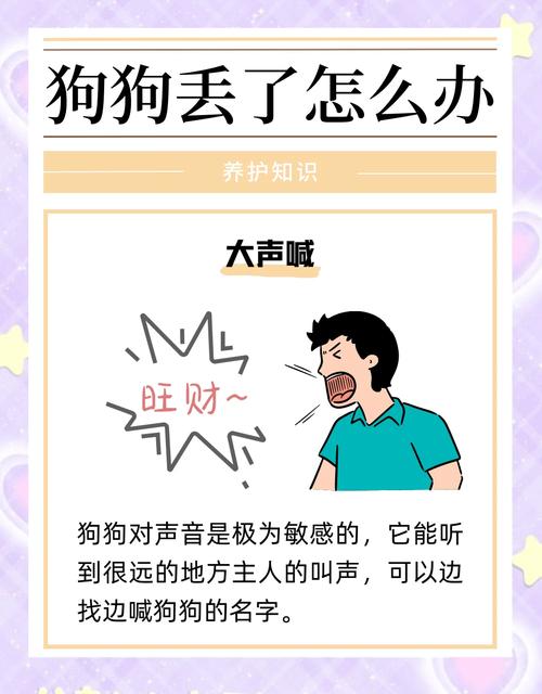 如何通过灵性,找回走失的小狗?