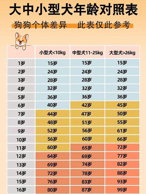 狗狗几个月算一岁