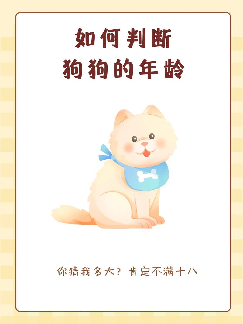 狗狗一岁是指几个月